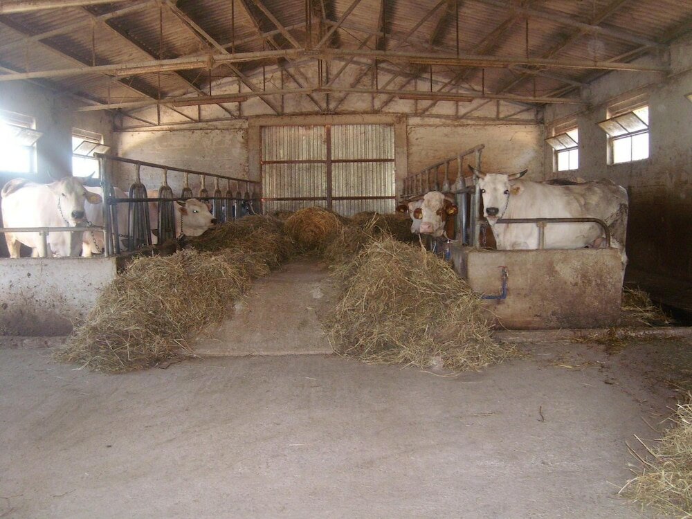 Фото Fattoria Del Quondam