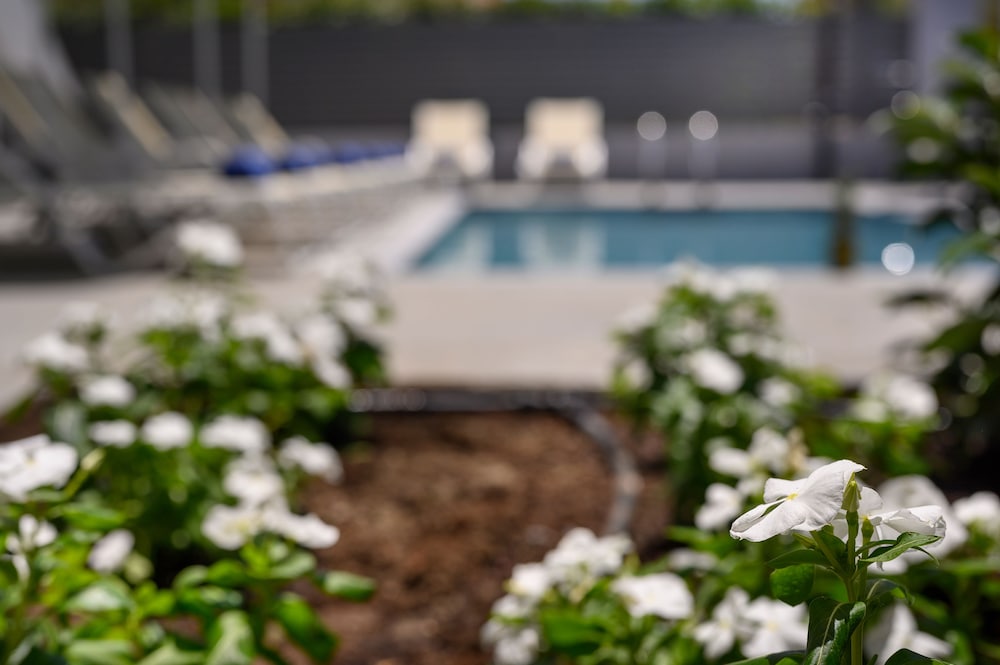 Фото Athina Suites Platanias