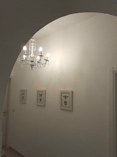 Гостиница Il Galileo Rooms в Пизе
