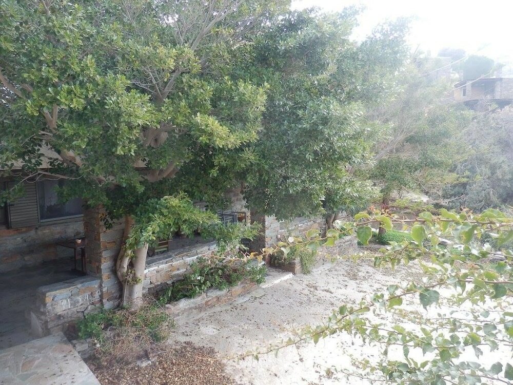 Фото Elea Koundouros