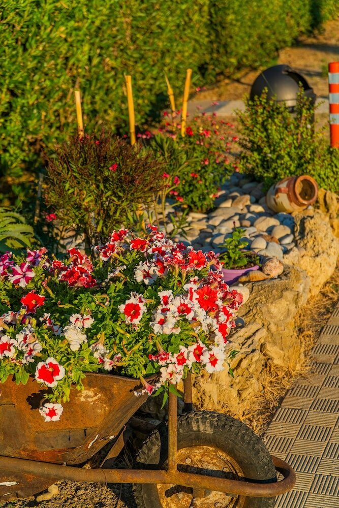 Фото Blue Dream Hotel