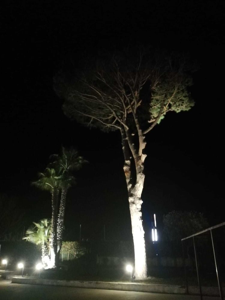 Фото Hotel Exagon Flower