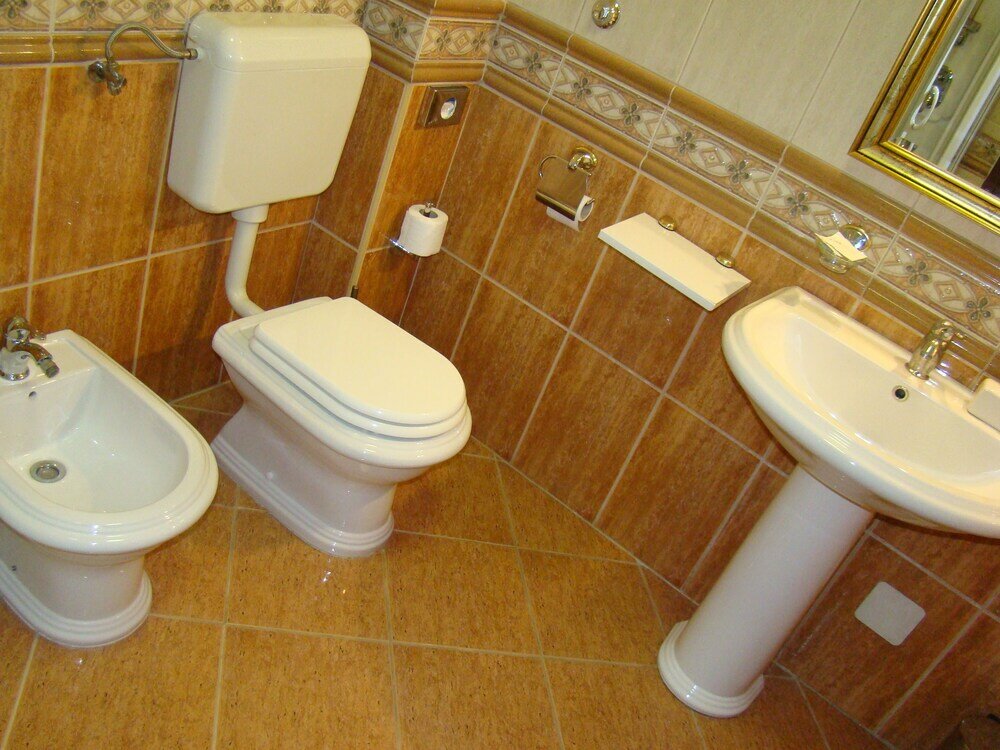 Фото Hotel Vila Ariston