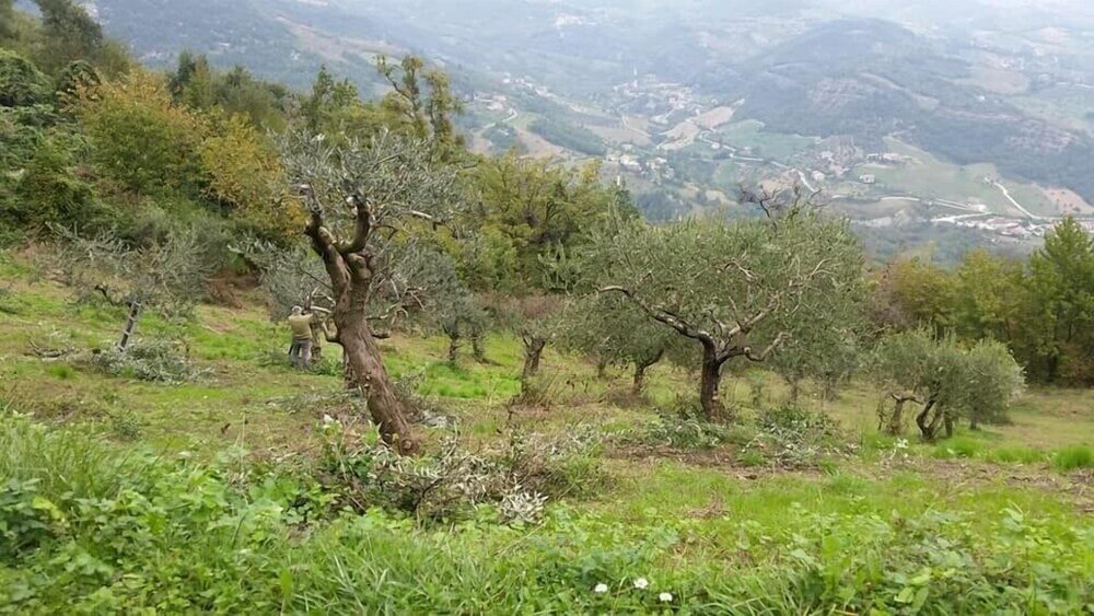 Фото Agriturismo Lo Scoiattolo