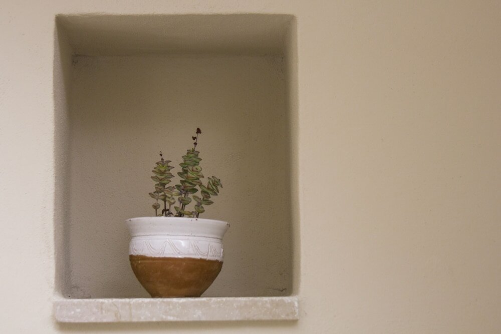 Фото Regina di Ulivi