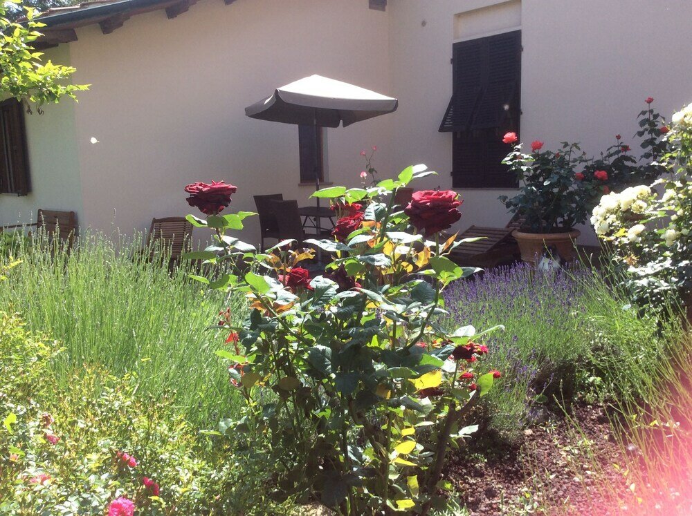 Фото La Primavera B&b