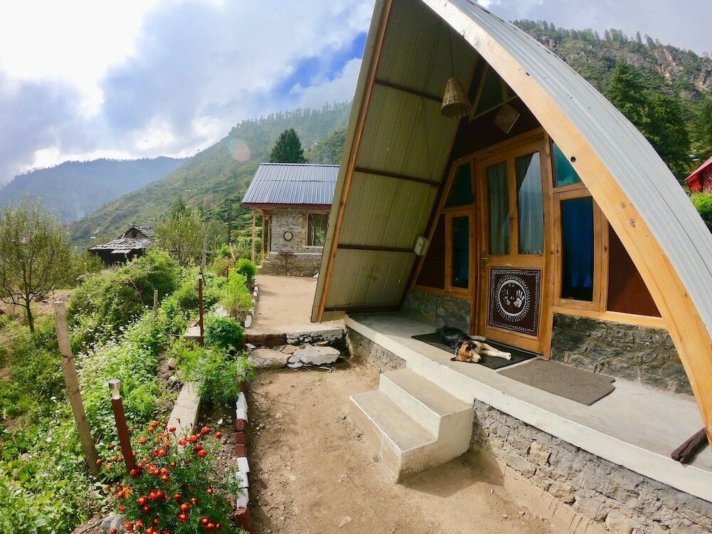 Фото Stonedage Tosh