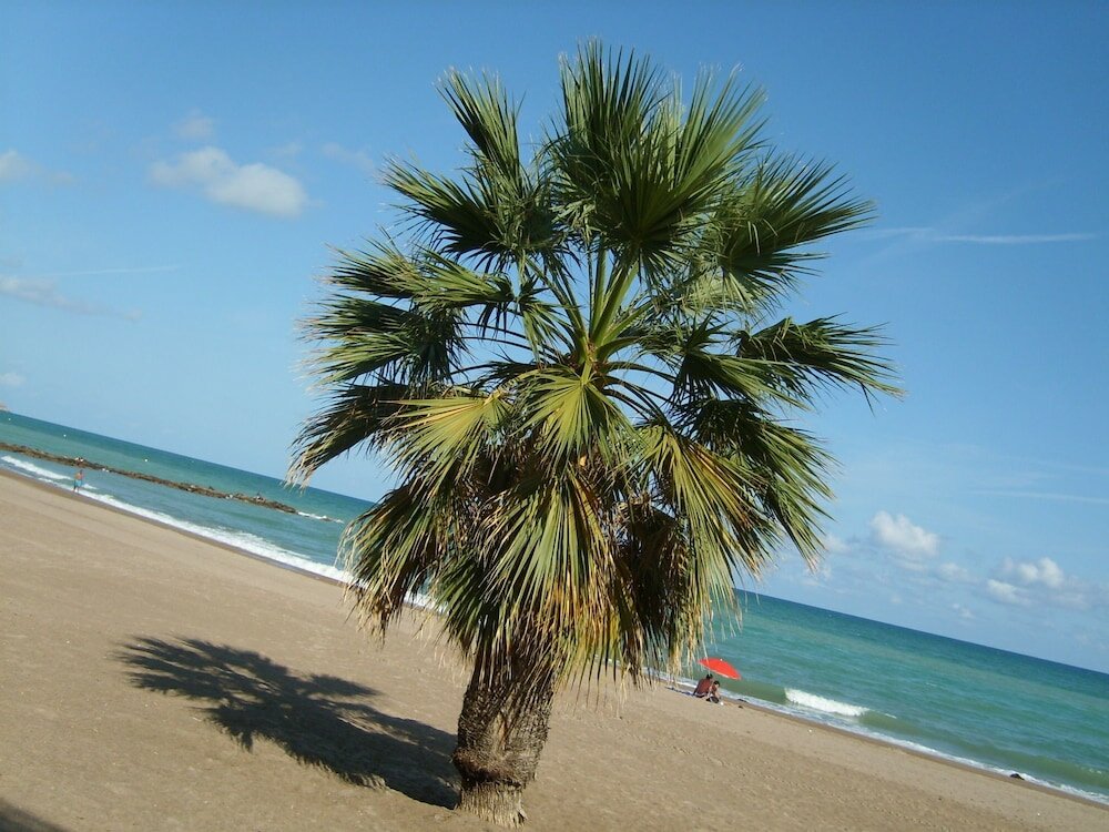 Фото Camping Florida