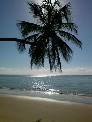 Внешний вид отеля Pousada Xuê в Порту-де-Педрасе, фото 4