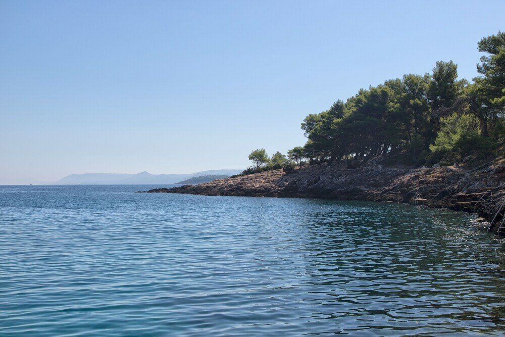 Фото Apartments Ana