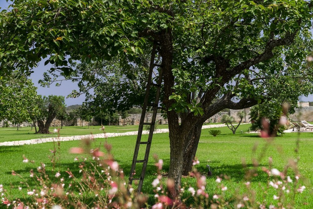 Фото Masseria La Gresca