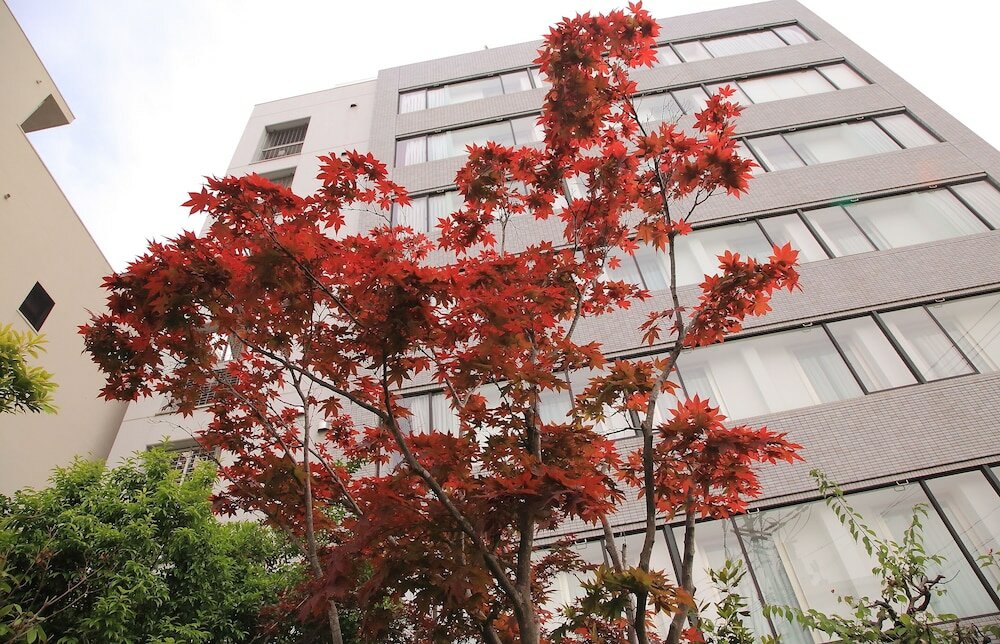 Фото Hotel Hakata Nakasu Inn