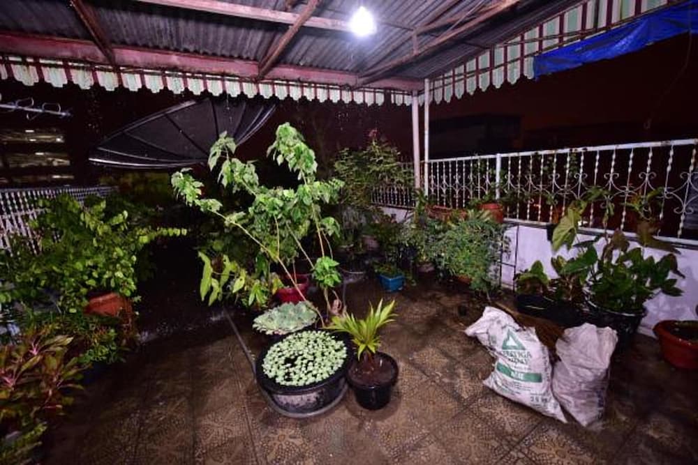 Фото Dazhong Backpackers Hostel