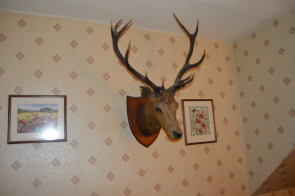 Фото Belgrave Arms Hotel