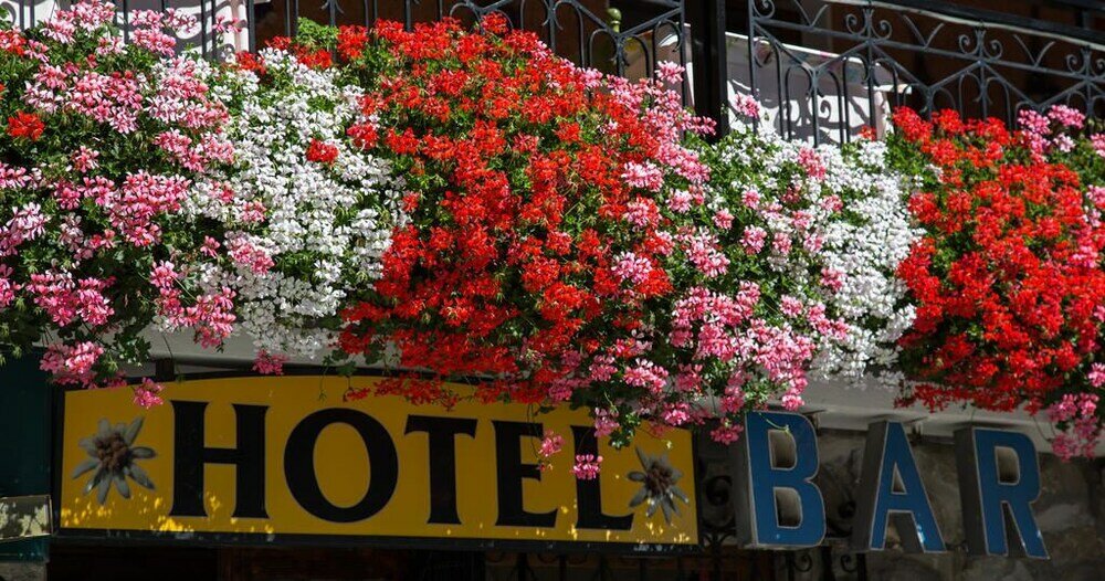 Фото Hotel Edelweiss