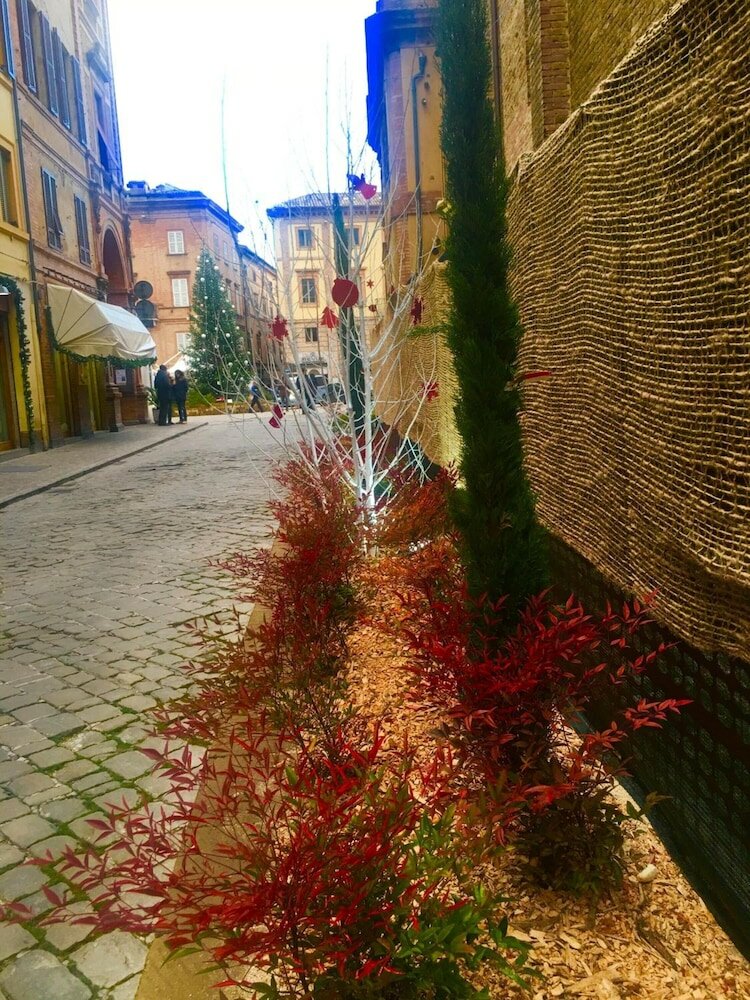 Фото Luxury My Home