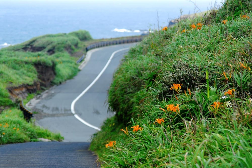 Фото Snapper inn