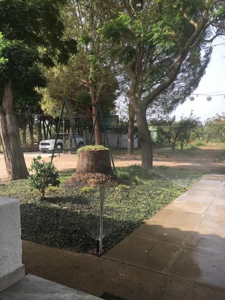 Фото BeB il Pomo D'Oro