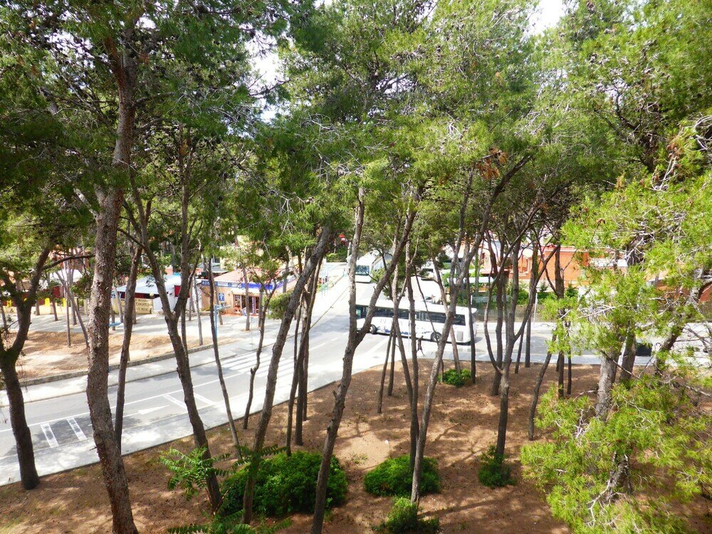 Фото Apartamento M&c del Bosc