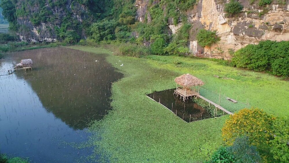 Фото Trang An River View Homestay