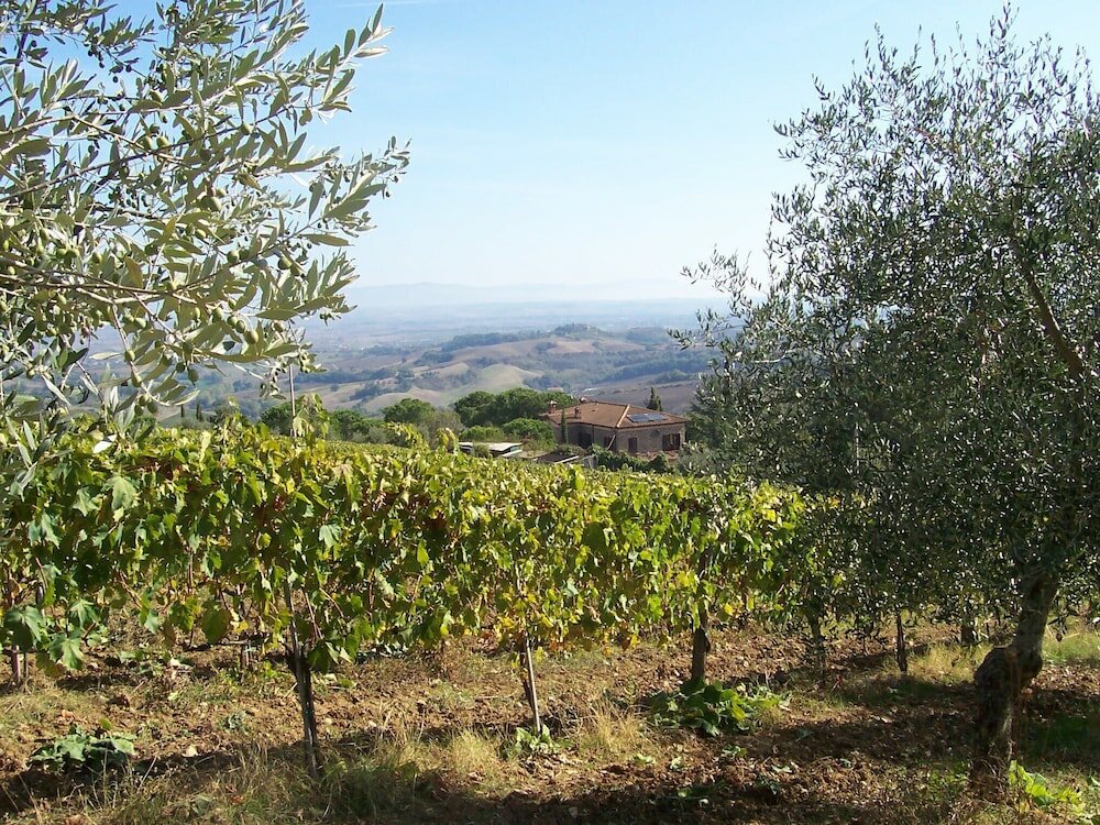Фото Agriturismo La Vigna