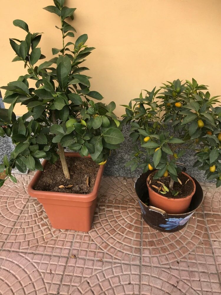 Фото Hotel Duca di Tromello