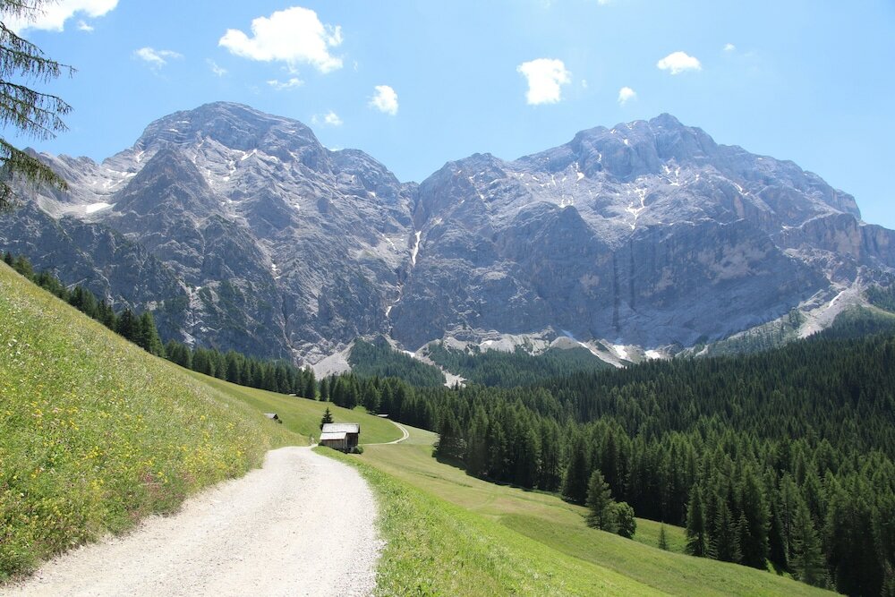 Фото Hotel Alpenrose