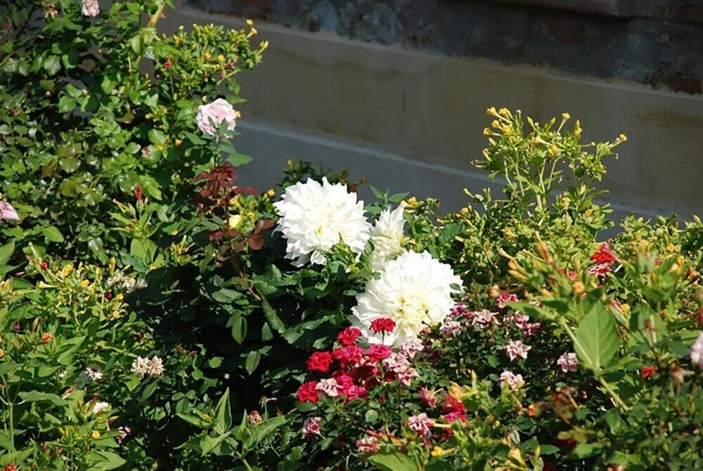 Фото Agriturismo Frangivento