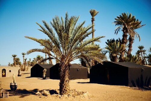 Гостиница Camp Sahara Nights