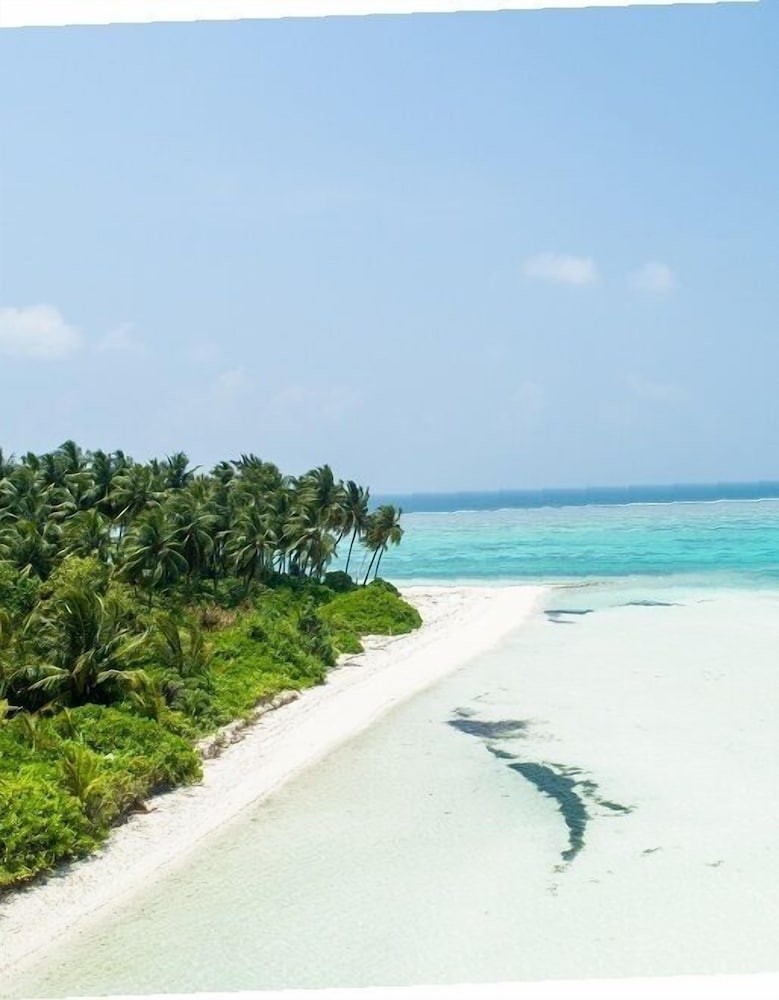 Фото South Ari Inn