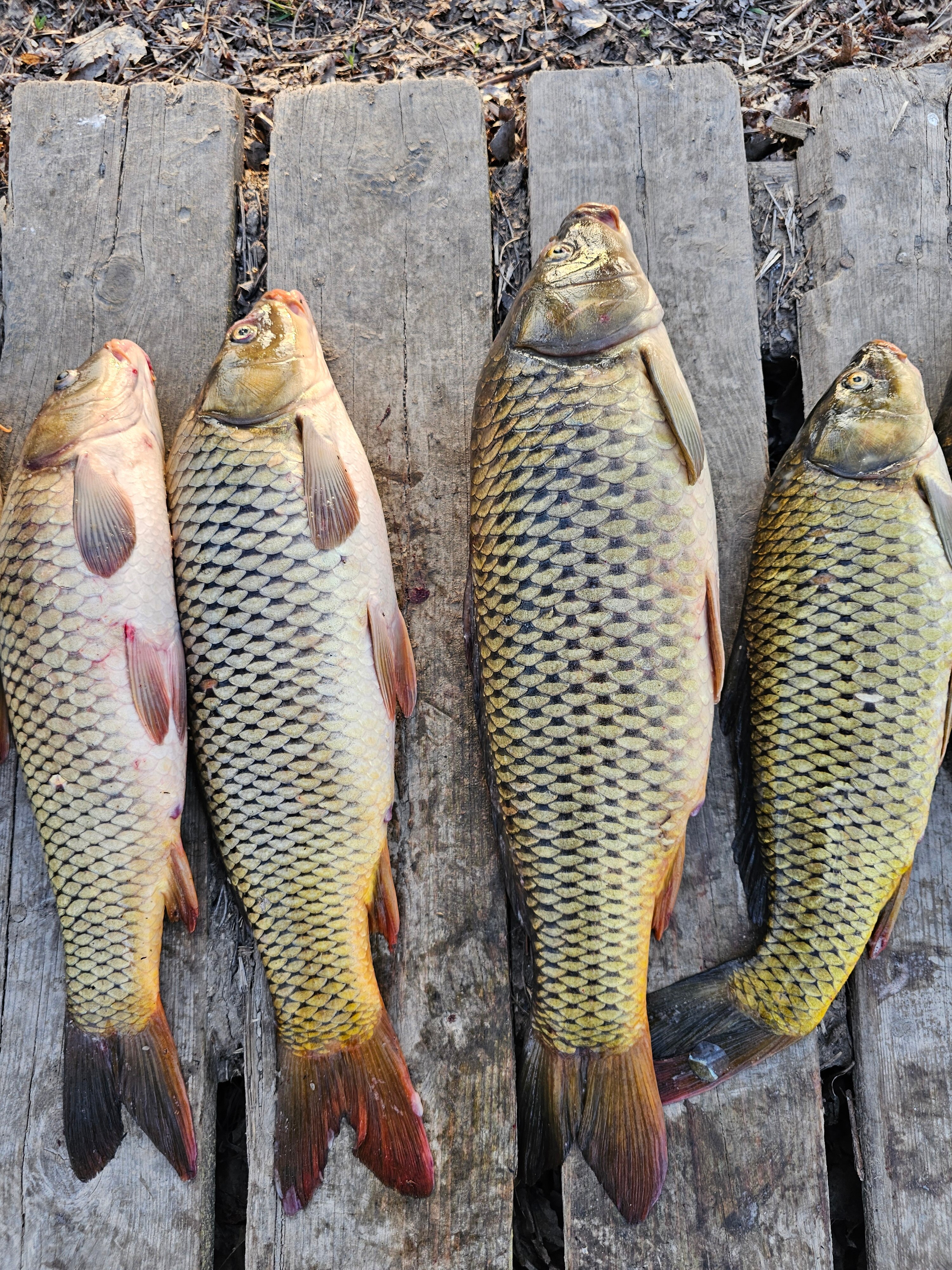 Фото Остров Тур