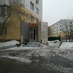 Piv.Ko (Táýelsizdik dańǵyly, 26) ، متجر بيع البيرة