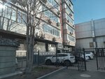 Web Studio Artmedia (Tole Bi Street, 69) ، استوديو تصميم المواقع