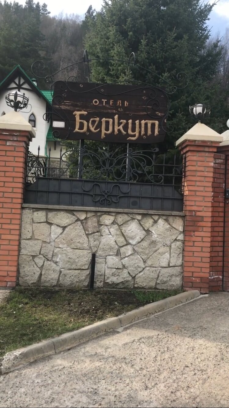 Фото Беркут