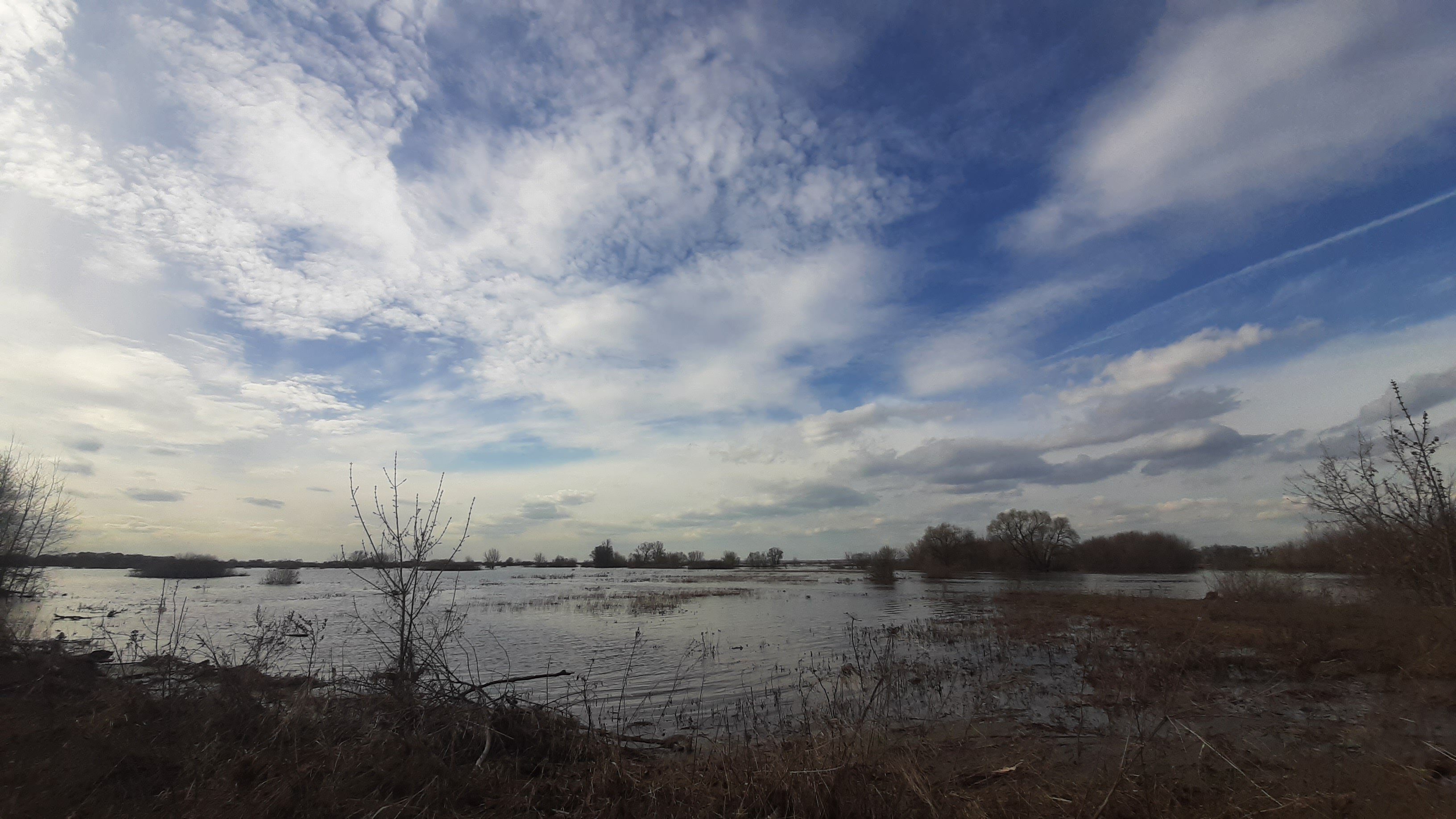 Фото Континент