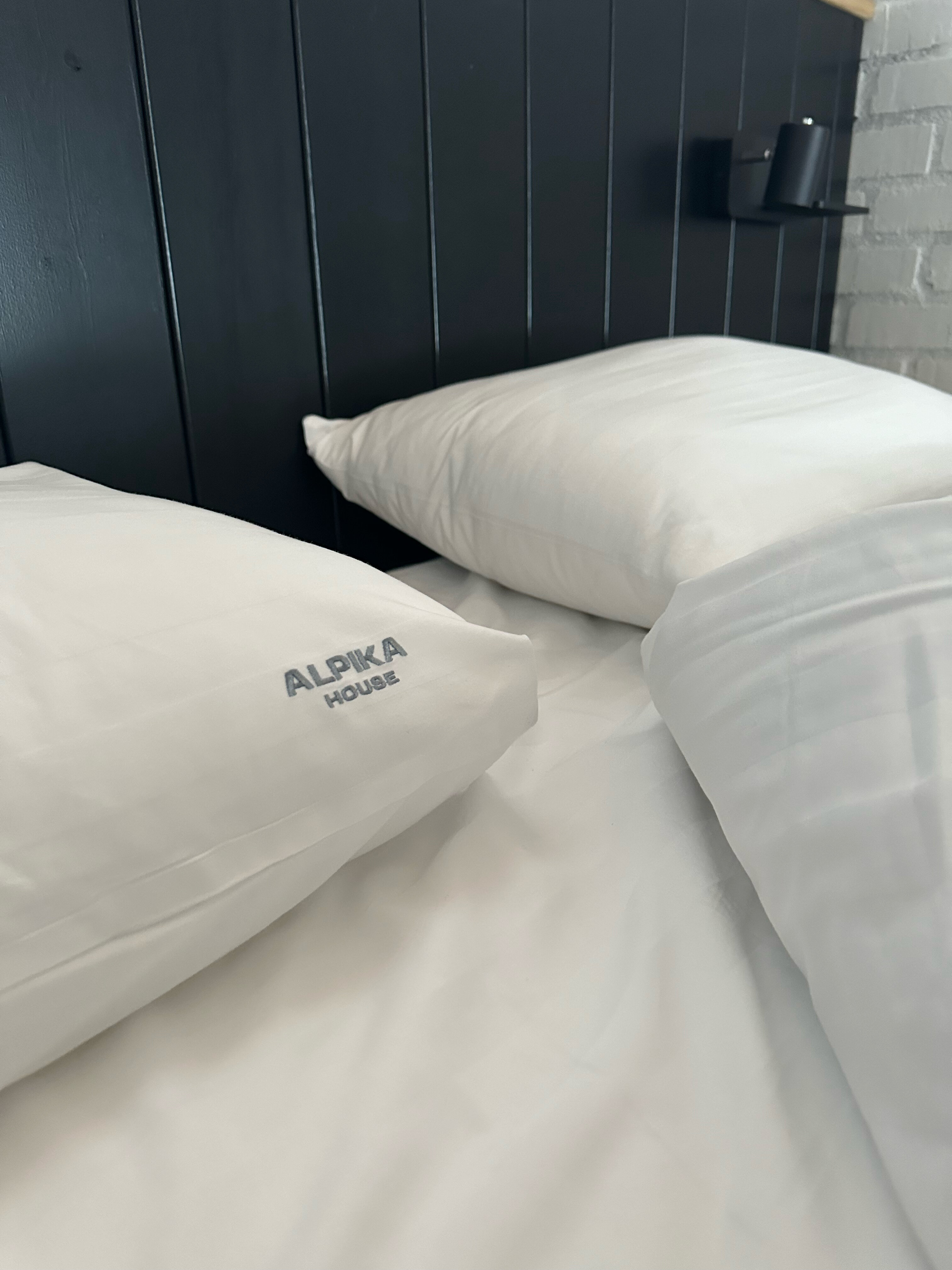 Фото Альпика Хаус