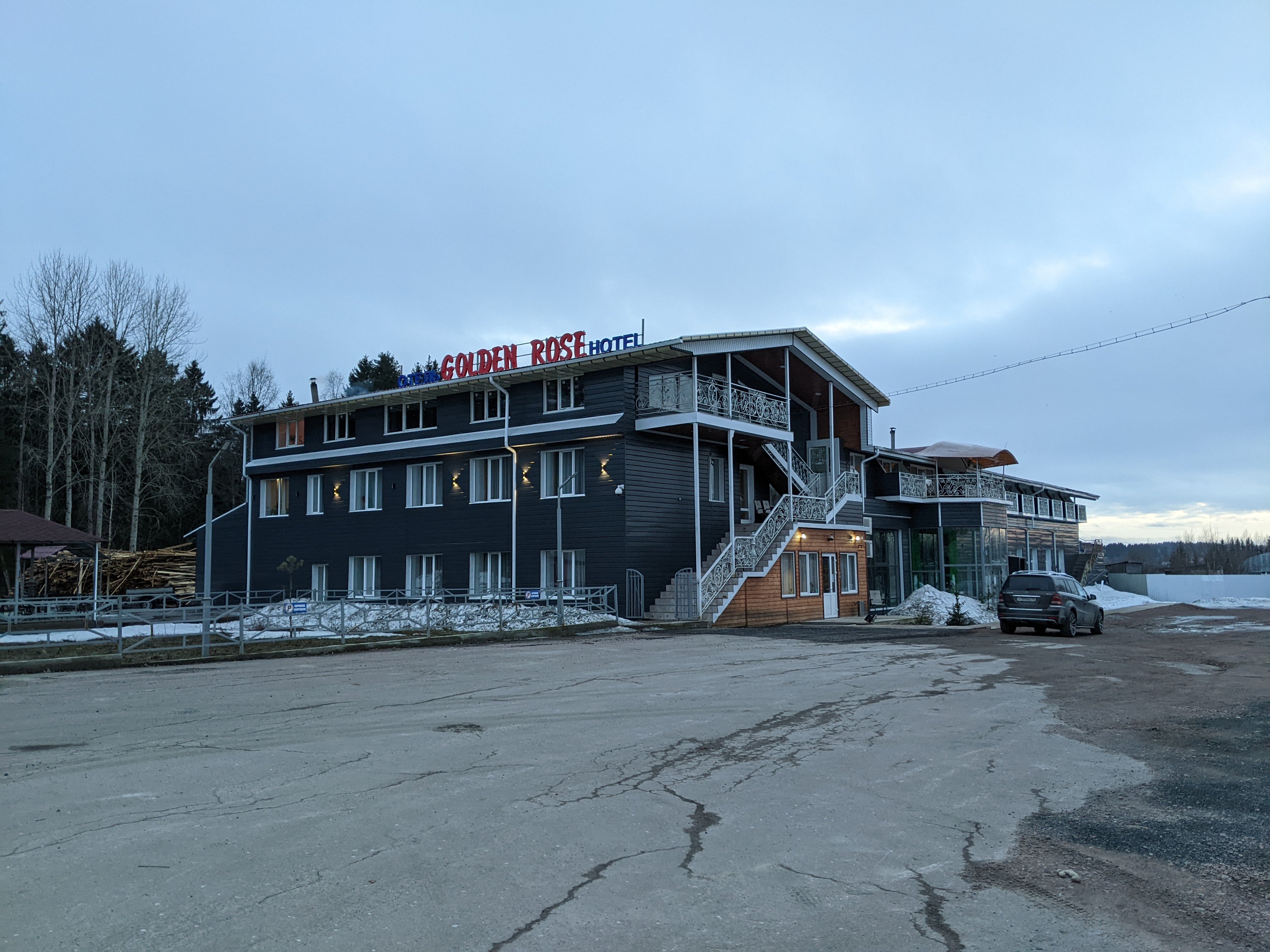 Фото Golden Rose