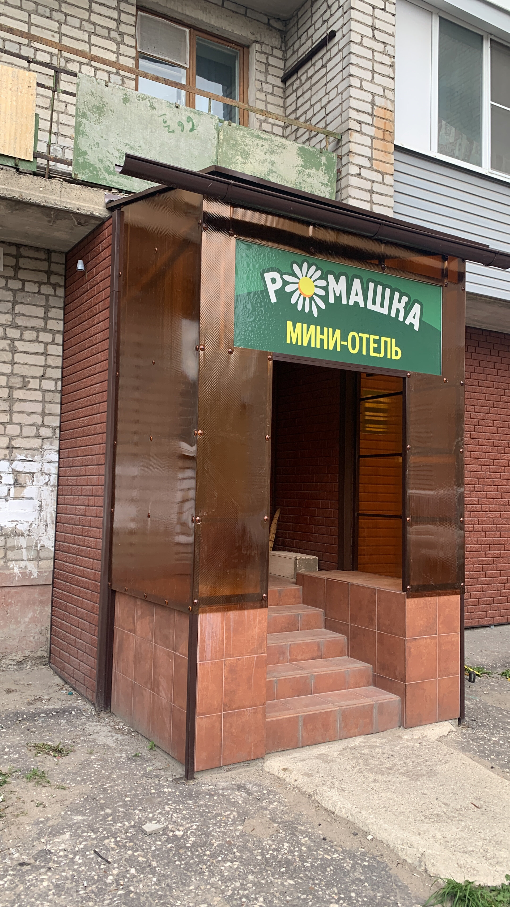 Фото Ромашка