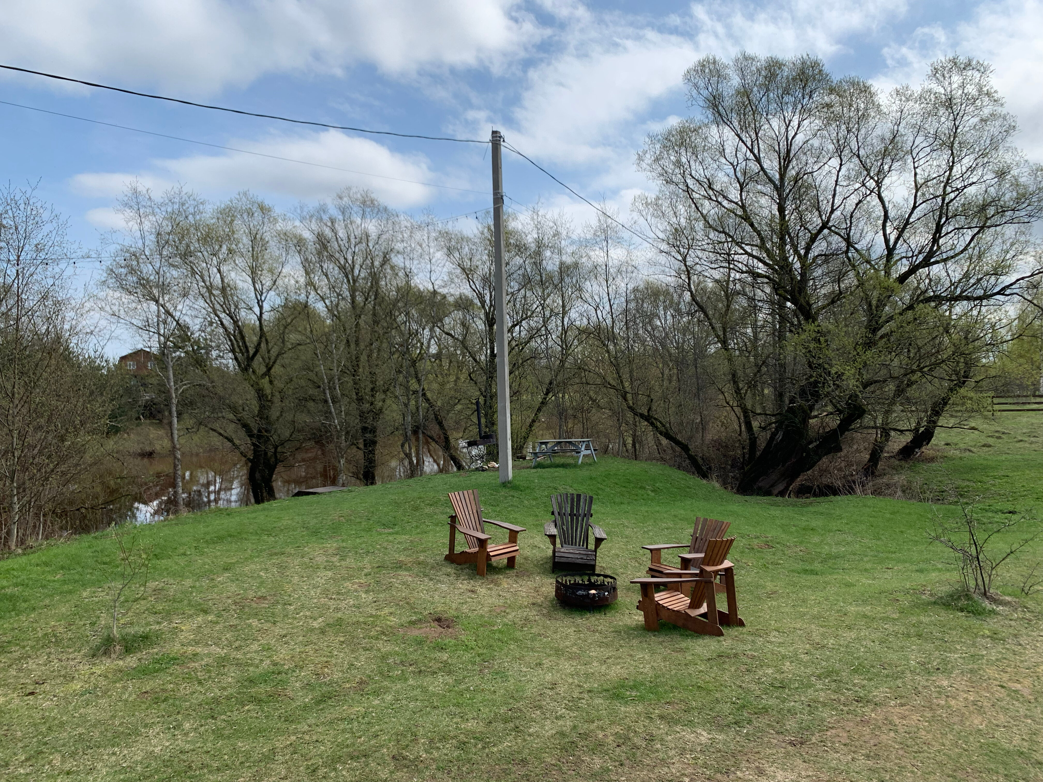 Фото Лес и луга