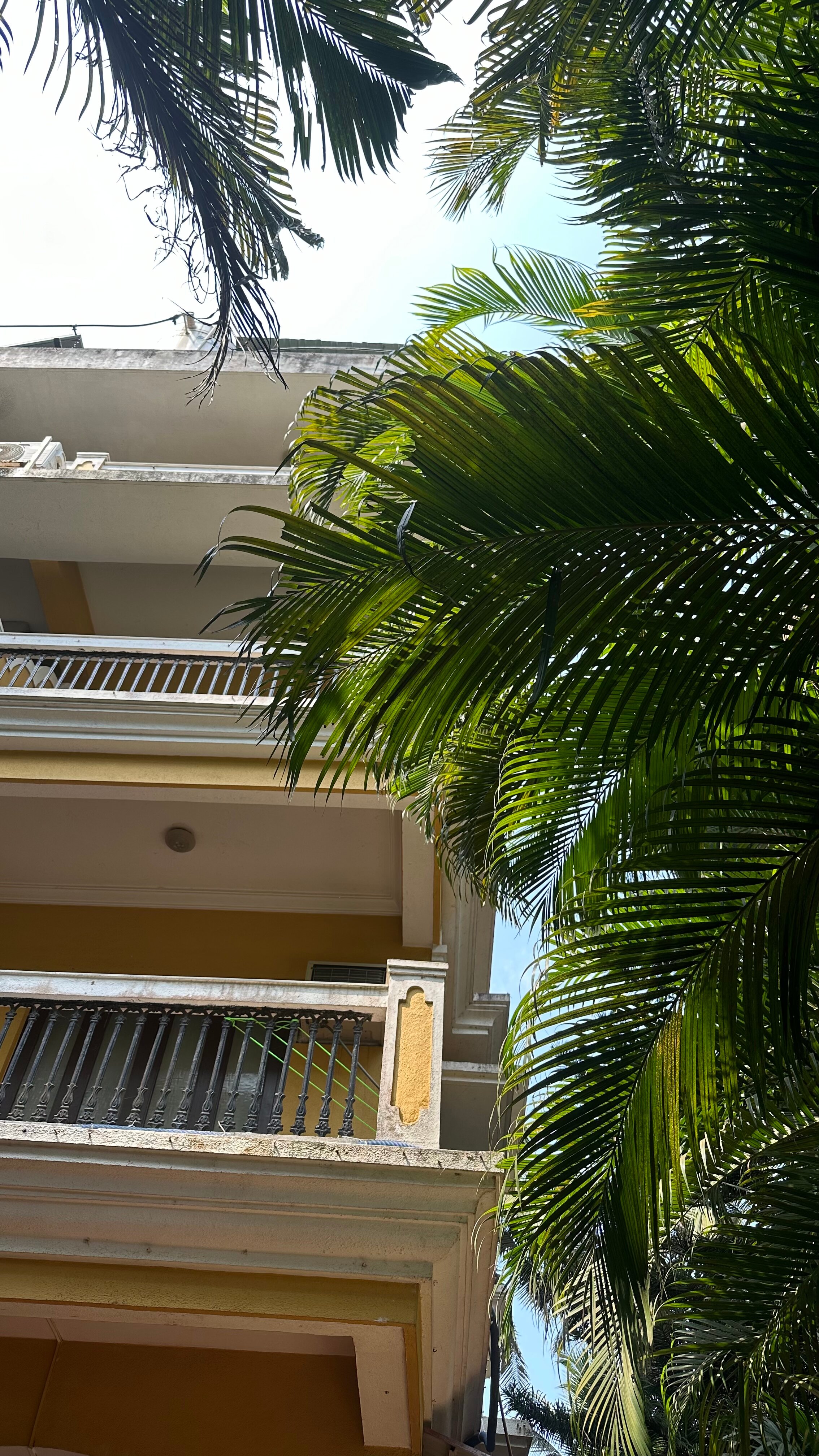 Фото Alagoa Resort