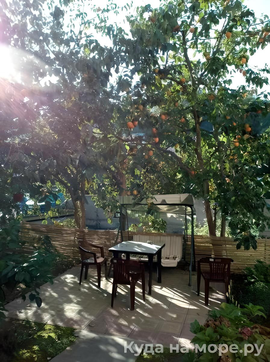 Фото Оазис на Молодежной