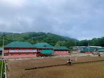 Sports school № 15 in Sochi (Armavirskaya ulitsa, 246) ، ركوب الخيل