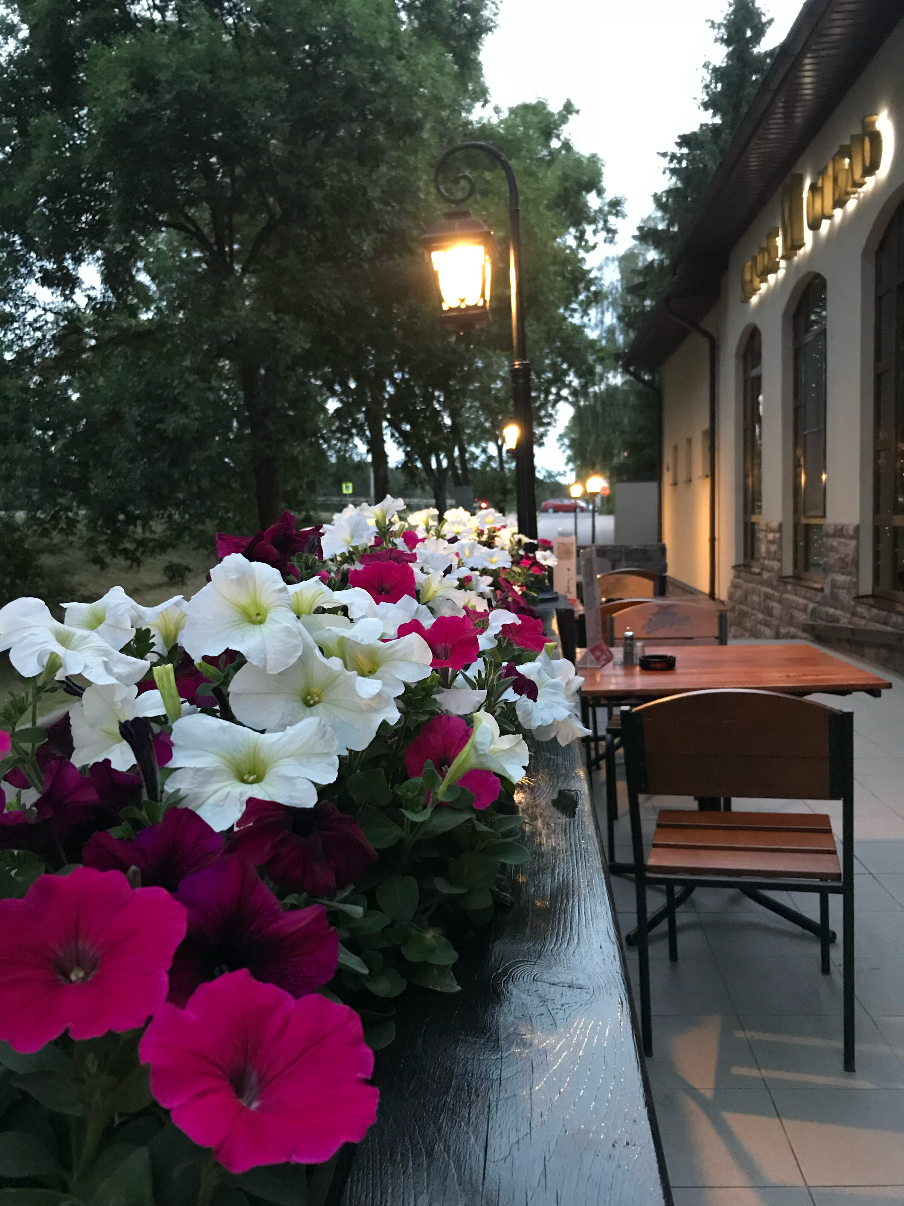 Фото М-Отель