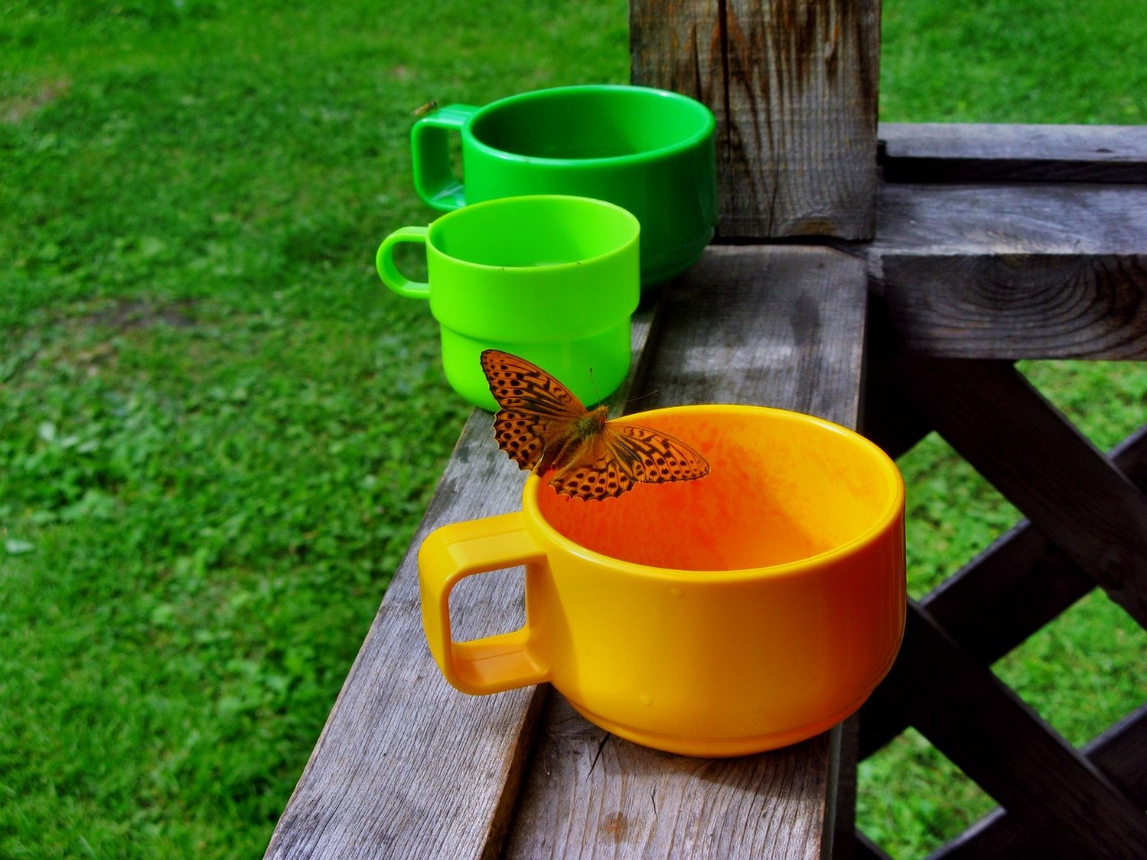 Фото Раухова мельница