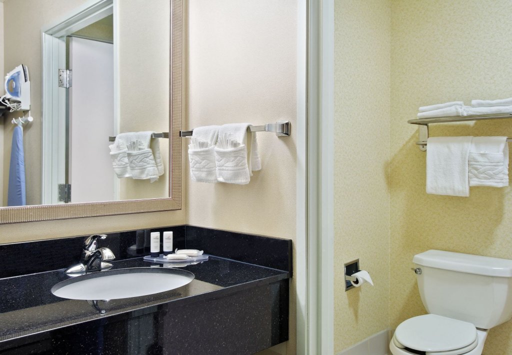 Фото Springhill Suites by Marriott Tampa Brandon