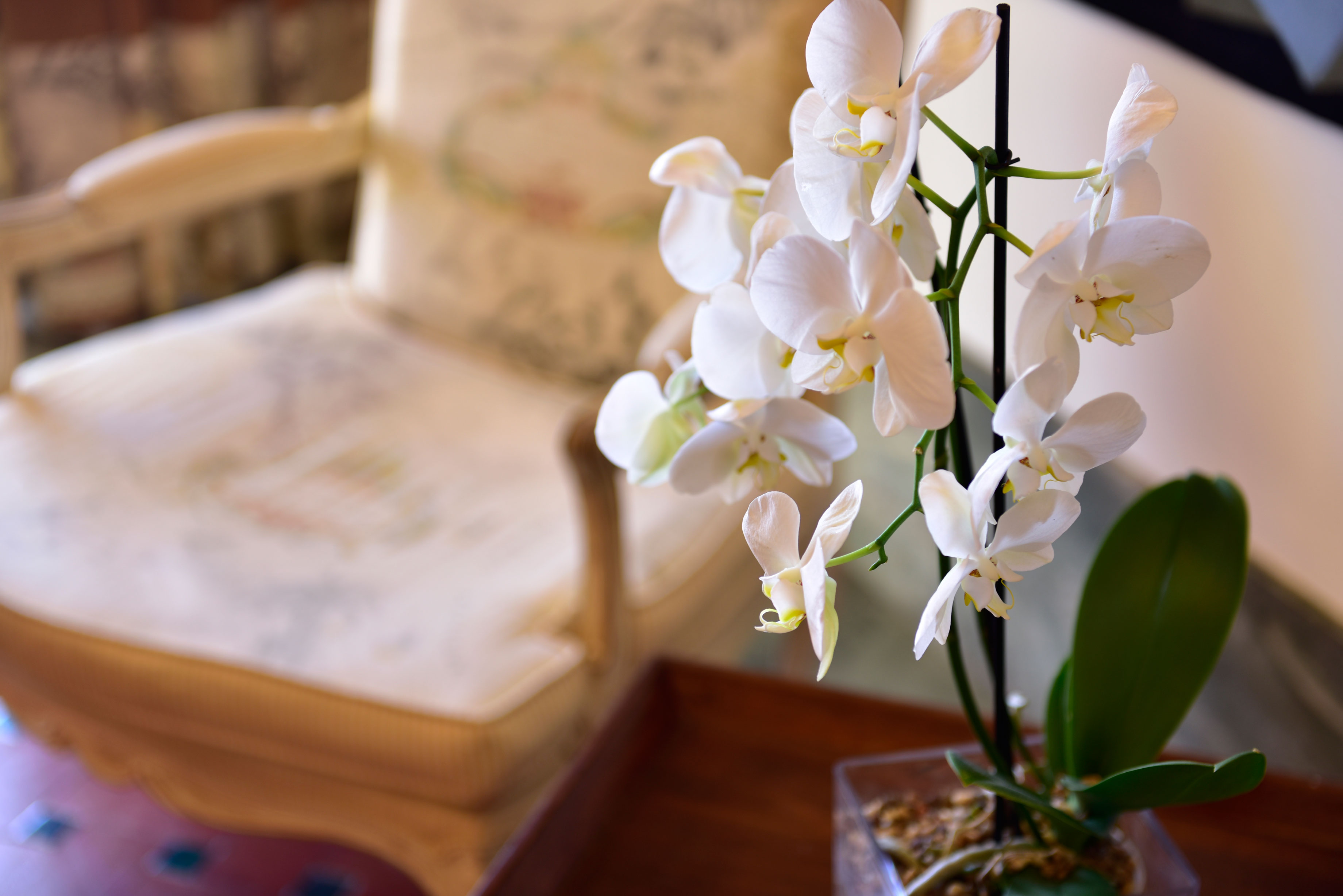 Фото Pousada de Sagres