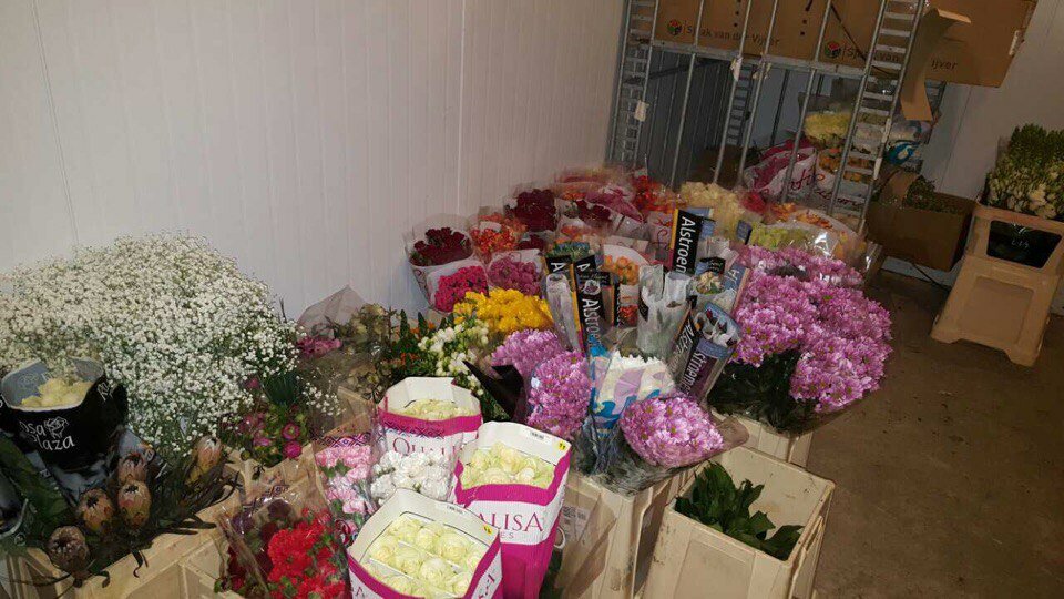 Оптовая компания ЧТУП Юнифлор Импорт цветы и растения оптом, Минск, фото