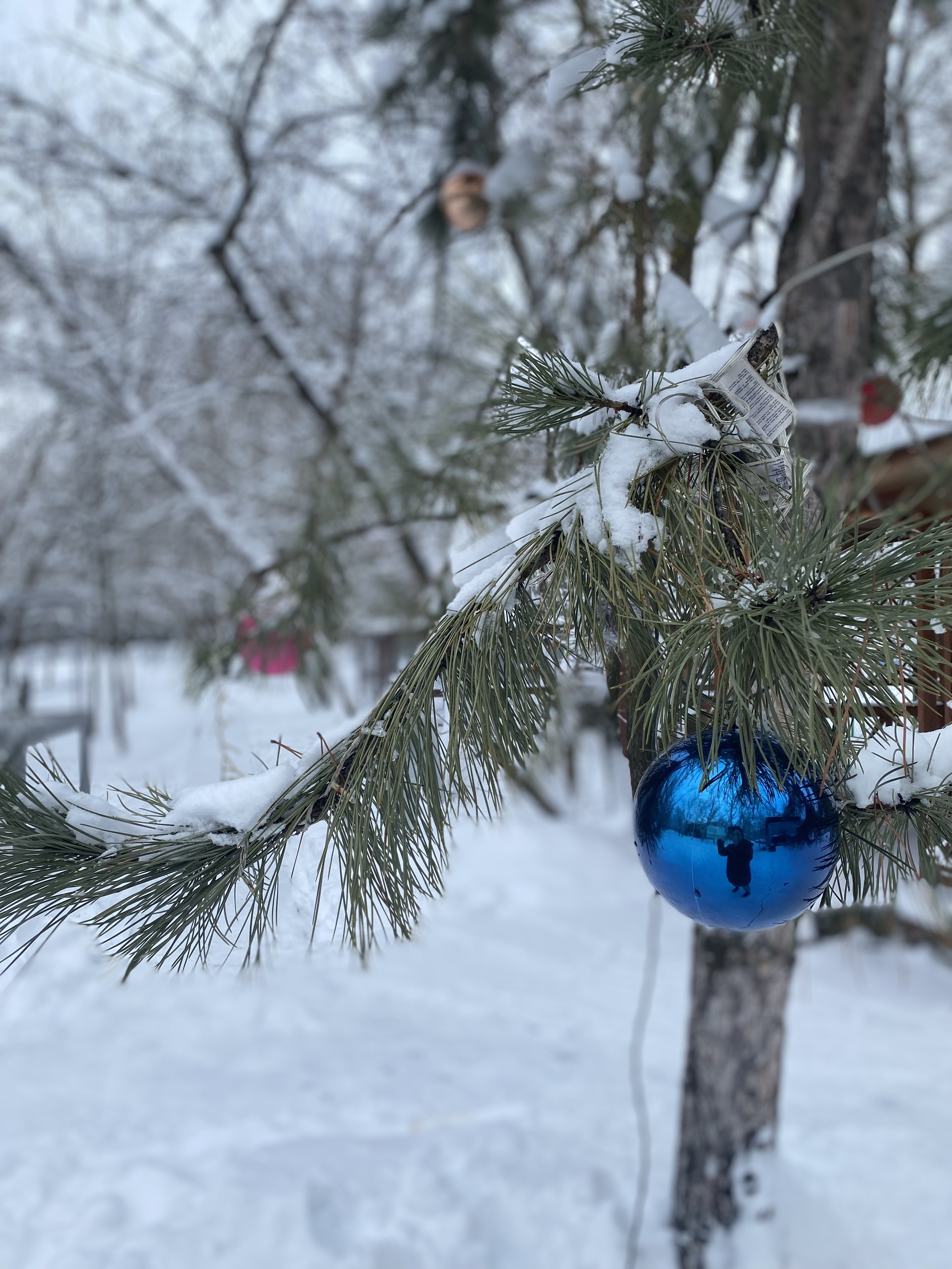 Фото База отдыха Дон