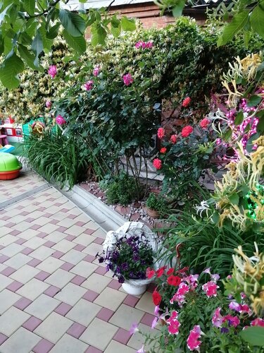 Апартаменты Уютный дом в Ейске