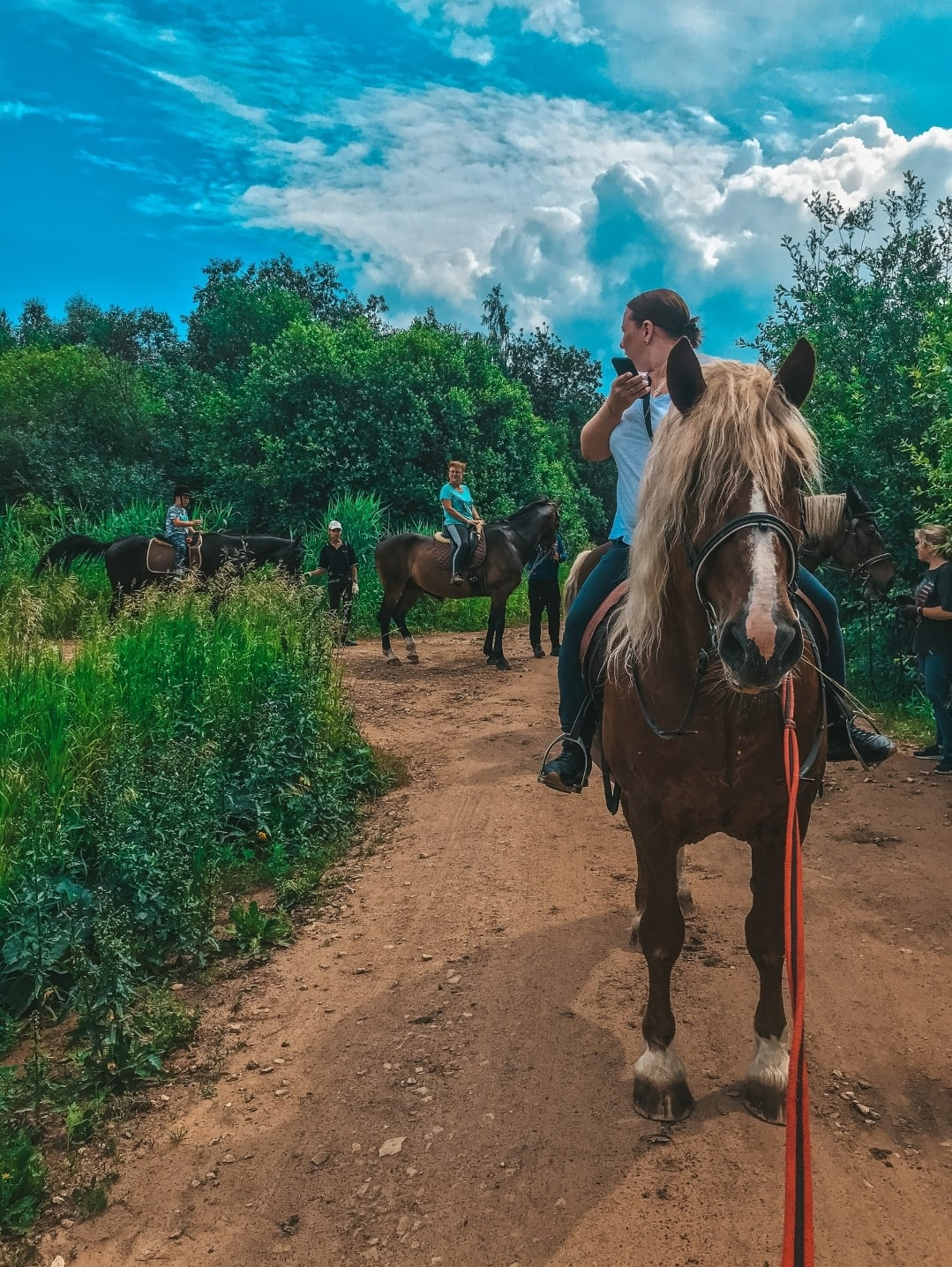 Фото Пушкинские дачи